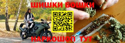 твердый Кингисепп