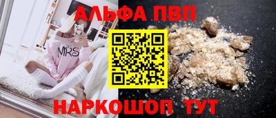 твердый Кингисепп