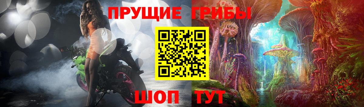 Комсомольск-на-Амуре  Галлюциногенные грибы Psilocybine cubensis  Вход с VPN  Галлюциногенные грибы мухоморы 